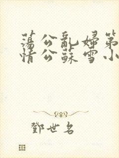 荡公乱妇第1章情公苏雪小说