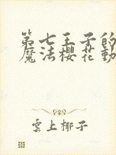 第七王子的转生魔法樱花动漫