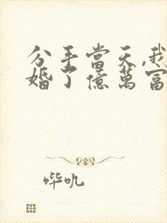 分手当天,我闪婚了亿万富翁