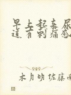 早上起来尿尿尿道有刺痛感