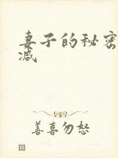 妻子的秘密无删减封面