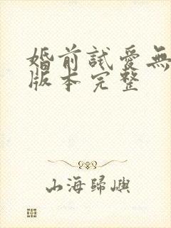 婚前试爱无删减版本完整