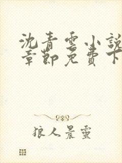 沈青云小说最新章节免费下载