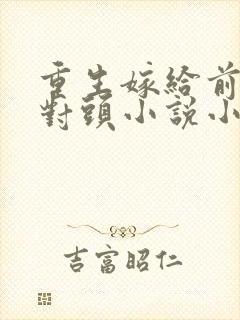 重生嫁给前夫死对头小说小说封面