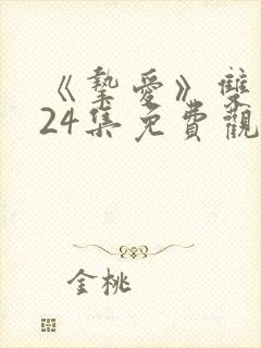 《挚爱》双男主24集免费观看