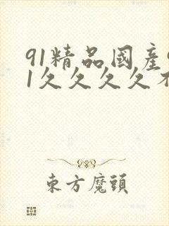 91精品国产91久久久久不卡