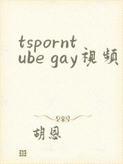 tsporntube gay视频