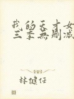 我的天才女友第三季无删减版封面