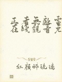 正者无敌电视剧在线观看免费