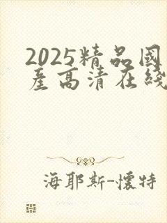 2025精品国产高清在线