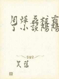 周烨磊校霸被捡了小说阳阳封面