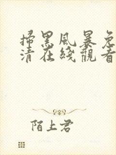 扫黑风暴免费高清在线观看电视剧