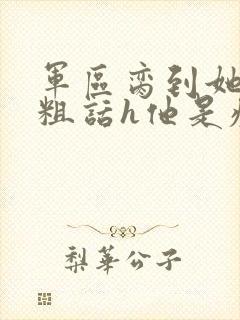 军区脔到她哭h粗话h他是疯批