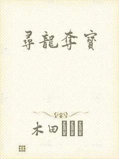 寻龙夺宝