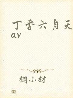 丁香六月天亚洲av