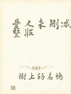 爱人未删减版完整版