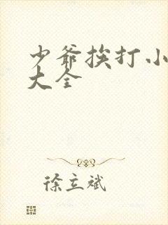 少爷挨打小视频大全