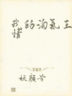 我的淘气王子剧情封面