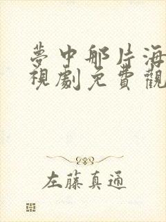 梦中那片海 电视剧免费观看