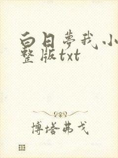 白日梦我小说完整版txt封面