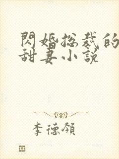 闪婚总裁的契约甜妻小说封面