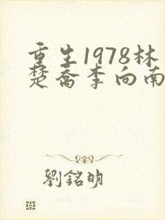 重生1978林楚乔李向南