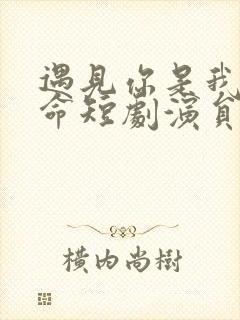 遇见你是我的宿命短剧演员表