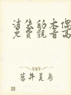 消失的木偶电影免费观看高清版封面