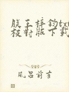 朕王梓钧txt校对版下载封面