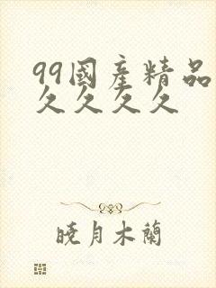 99国产精品久久久久久
