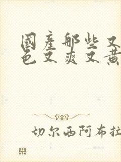 国产那些又粗又色又爽又黄的视频