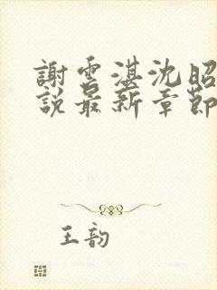 谢云湛沈昭月小说最新章节