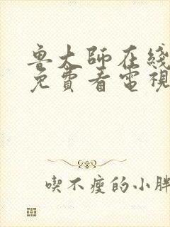 鲁大师在线播放免费看电视剧最新章