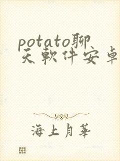 potato聊天软件安卓