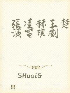 张凌赫王楚然主演电视剧封面