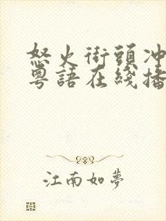 怒火街头冲锋队粤语在线播放封面