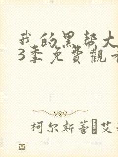 我的黑帮大佬第3季免费观看