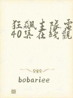 狂飙支队电视剧40集在线观看免费