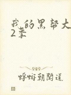 我的黑帮大佬第2季