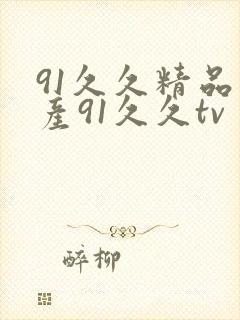 91久久精品国产91久久tv