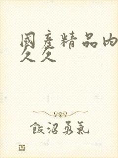 国产精品内射久久久