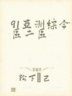 91亚洲综合一区二区