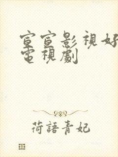 宣宣影视好看的电视剧封面