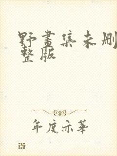 野画集未删减完整版封面