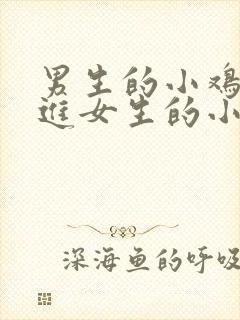 男生的小鸡鸡插进女生的小屁屁