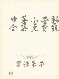 中华小子动画片全集免费观看高清