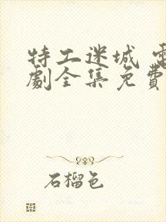 特工迷城 电视剧全集免费播放