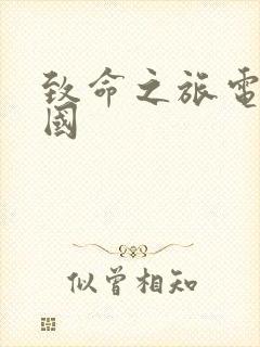 致命之旅电影韩国