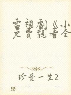 电视剧《小舅》免费观看全集