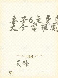 妻子6免费观看大全电视剧